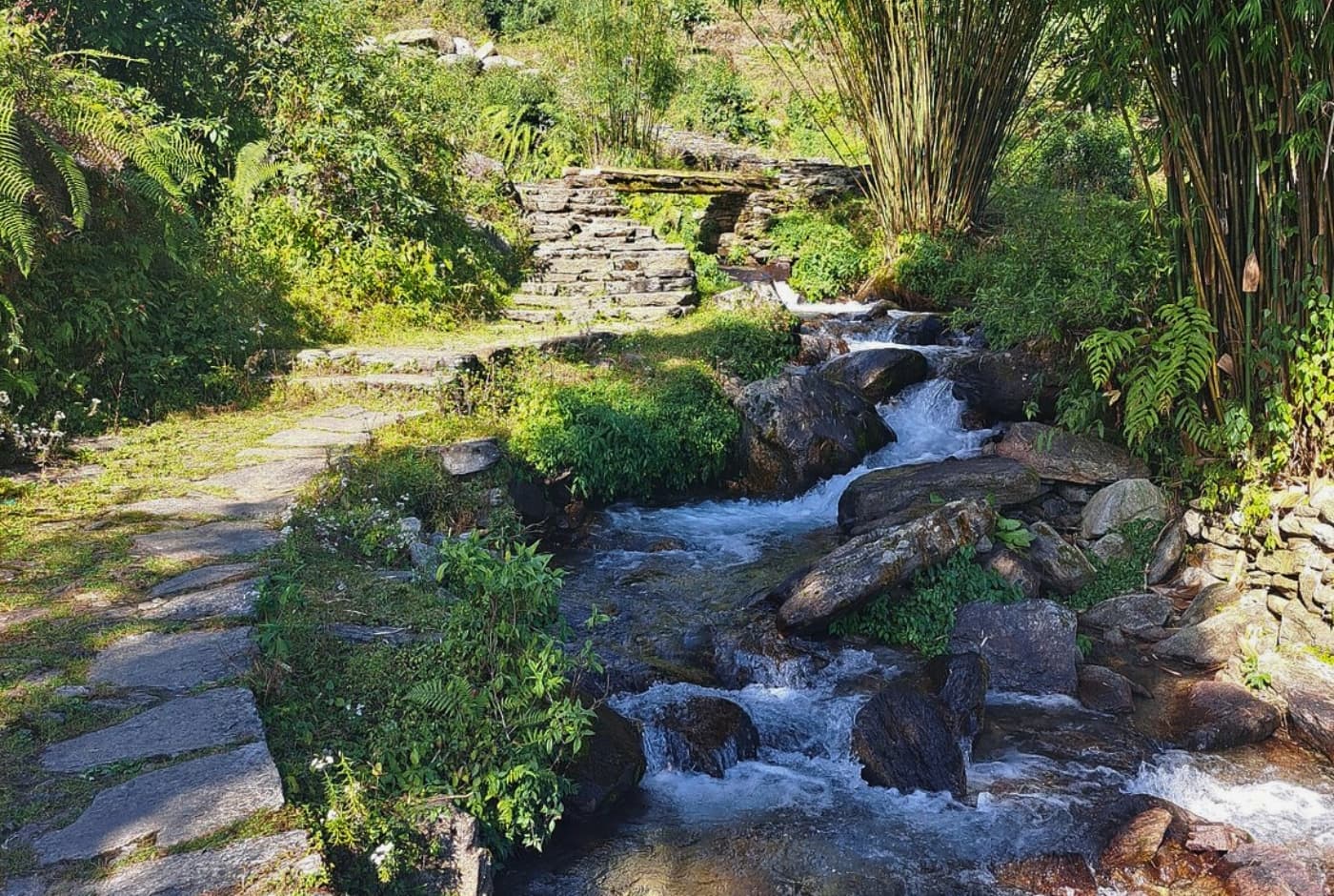 Flora and fauna in makalu base camp  route