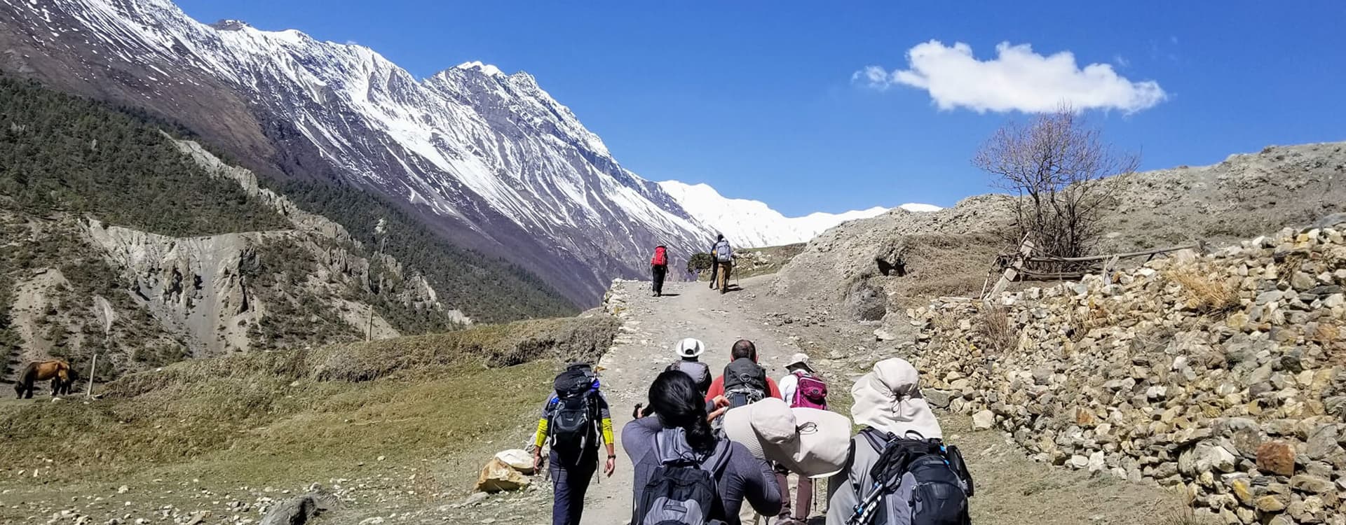 Annapurna Region Trek