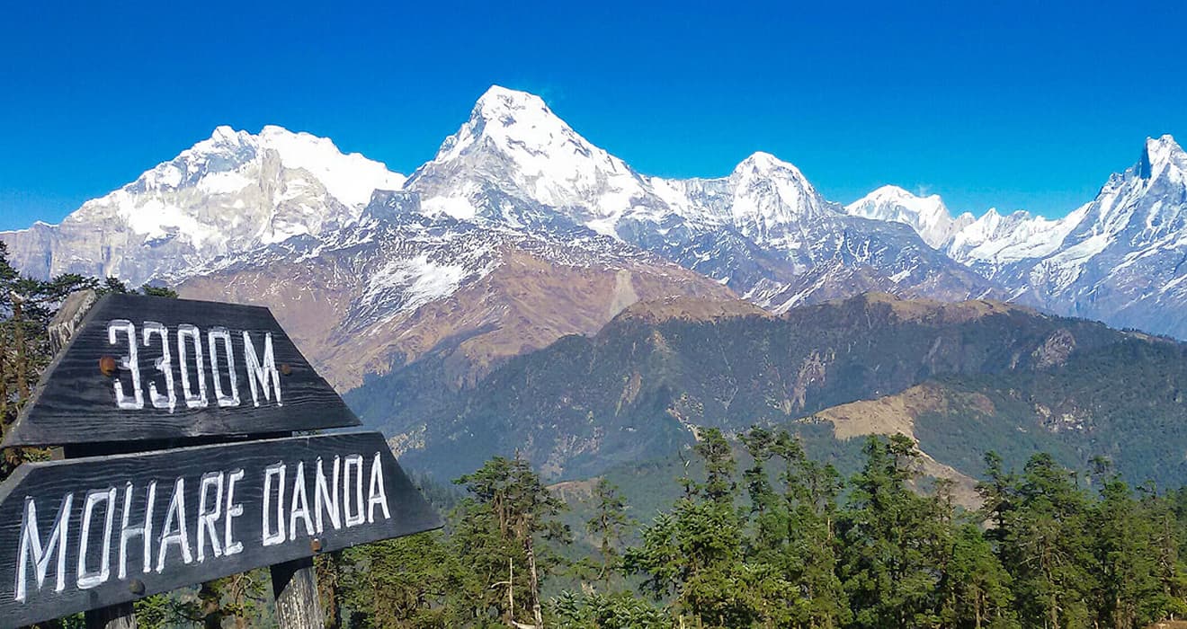 A Complete Guide to Mohare Danda Trek