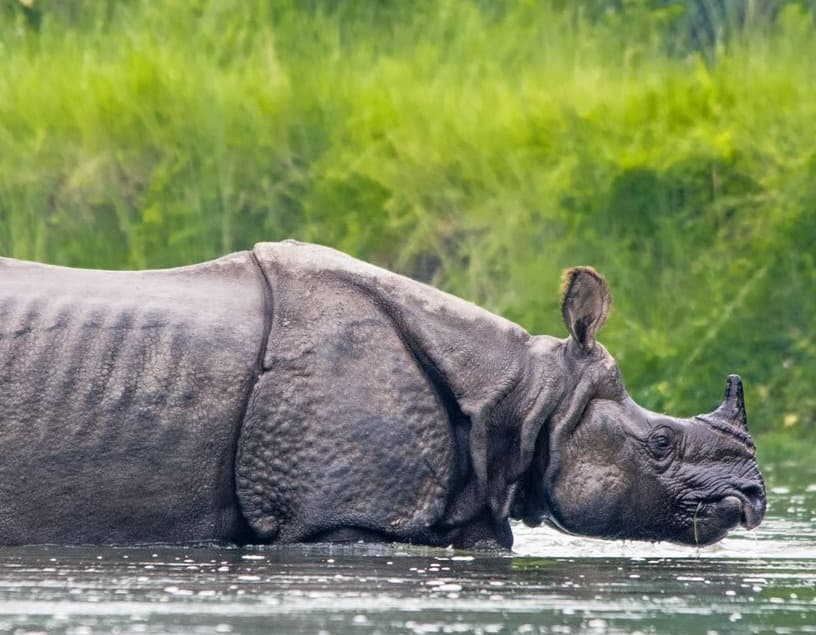 Chitwan National Park