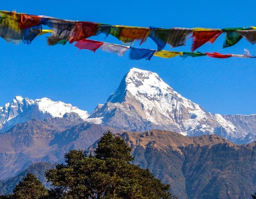 Ghorepani Poon Hill Trek - 8 days in Annapurna