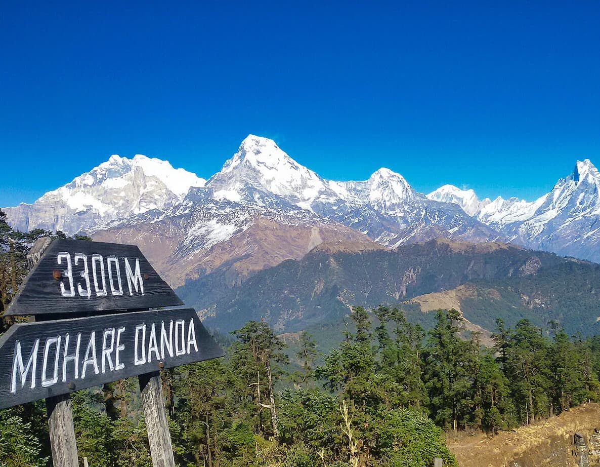 Mohare Danda Trek