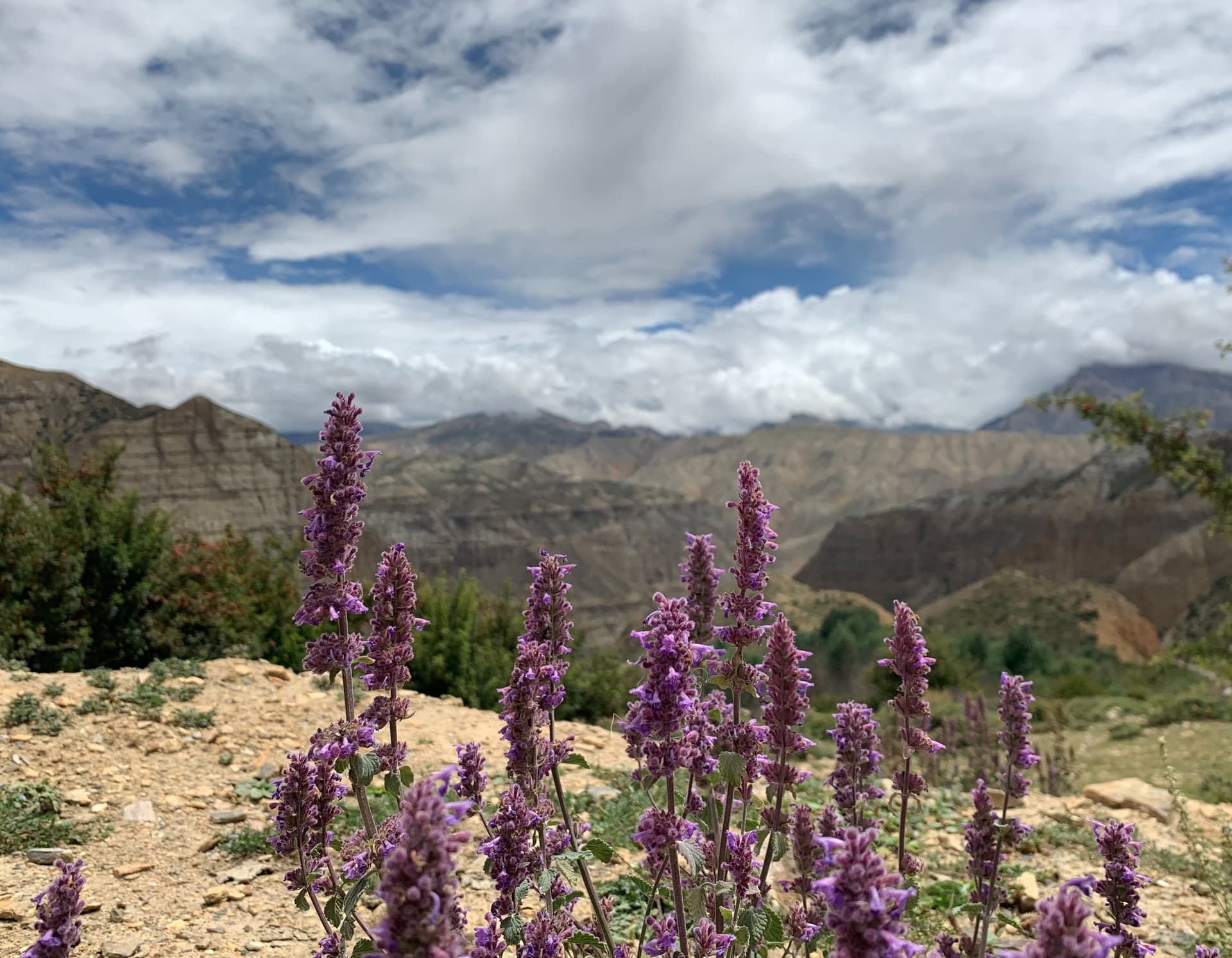 Upper Mustang Trek