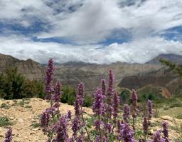 Upper Mustang Trek