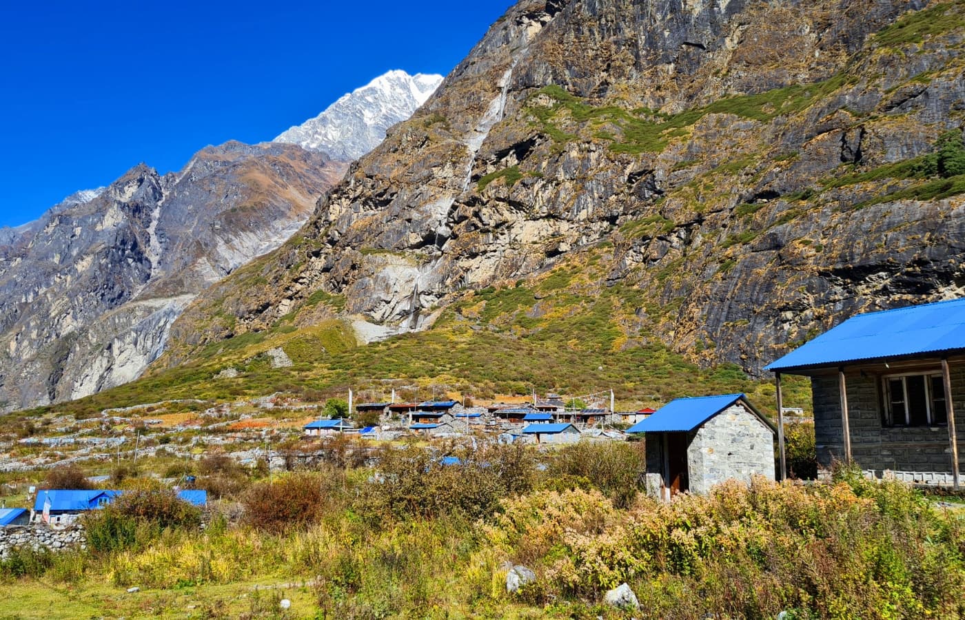 Mundu Village  flora around langtang