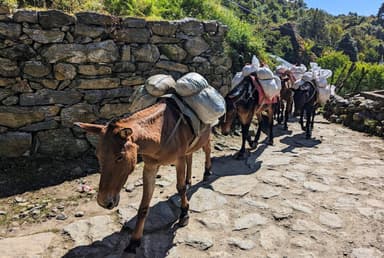 Lukla to Phakding  starting point of everest base camp