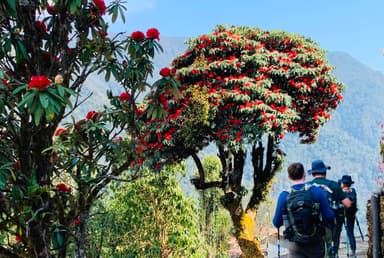 Annapurna panorama trekking in winter