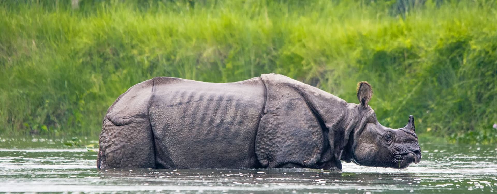 Chitwan National Park