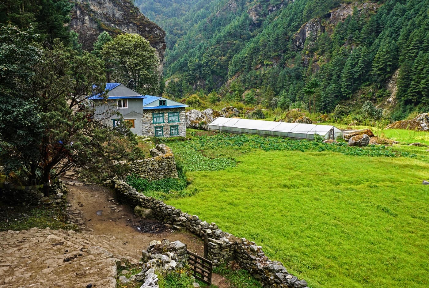 Greenary view and Mountain lodges