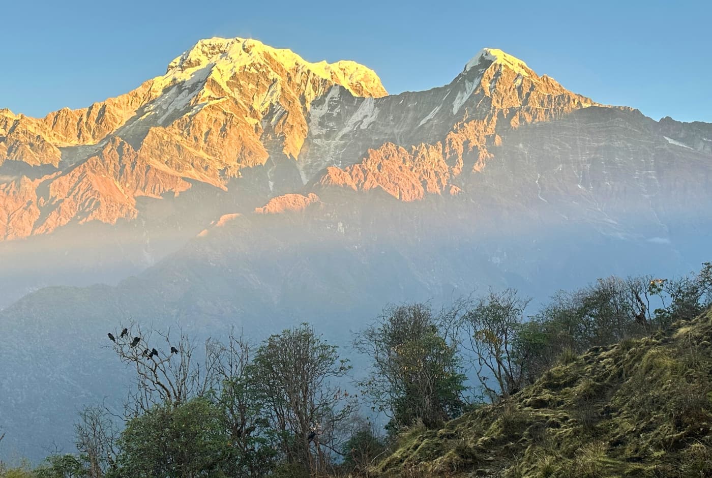 Why to trek Mardi Himal in Nepal