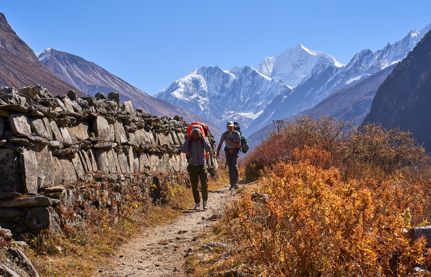 Langtang Valley Hiking  Short Trek from Kathmandu