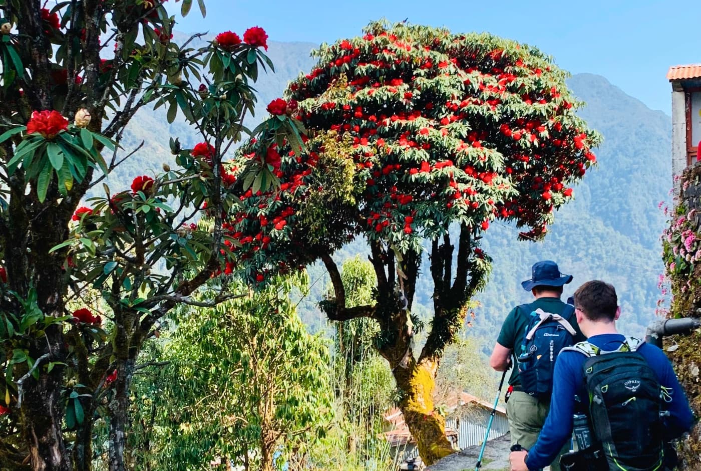 Poonhill trek during peak season