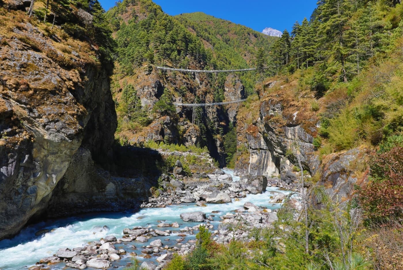 Suspension Bridges