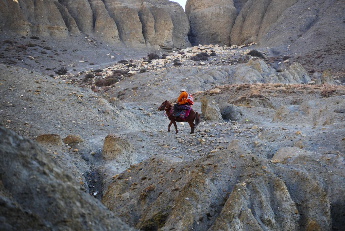 Day 7   way to lo manthang by horse