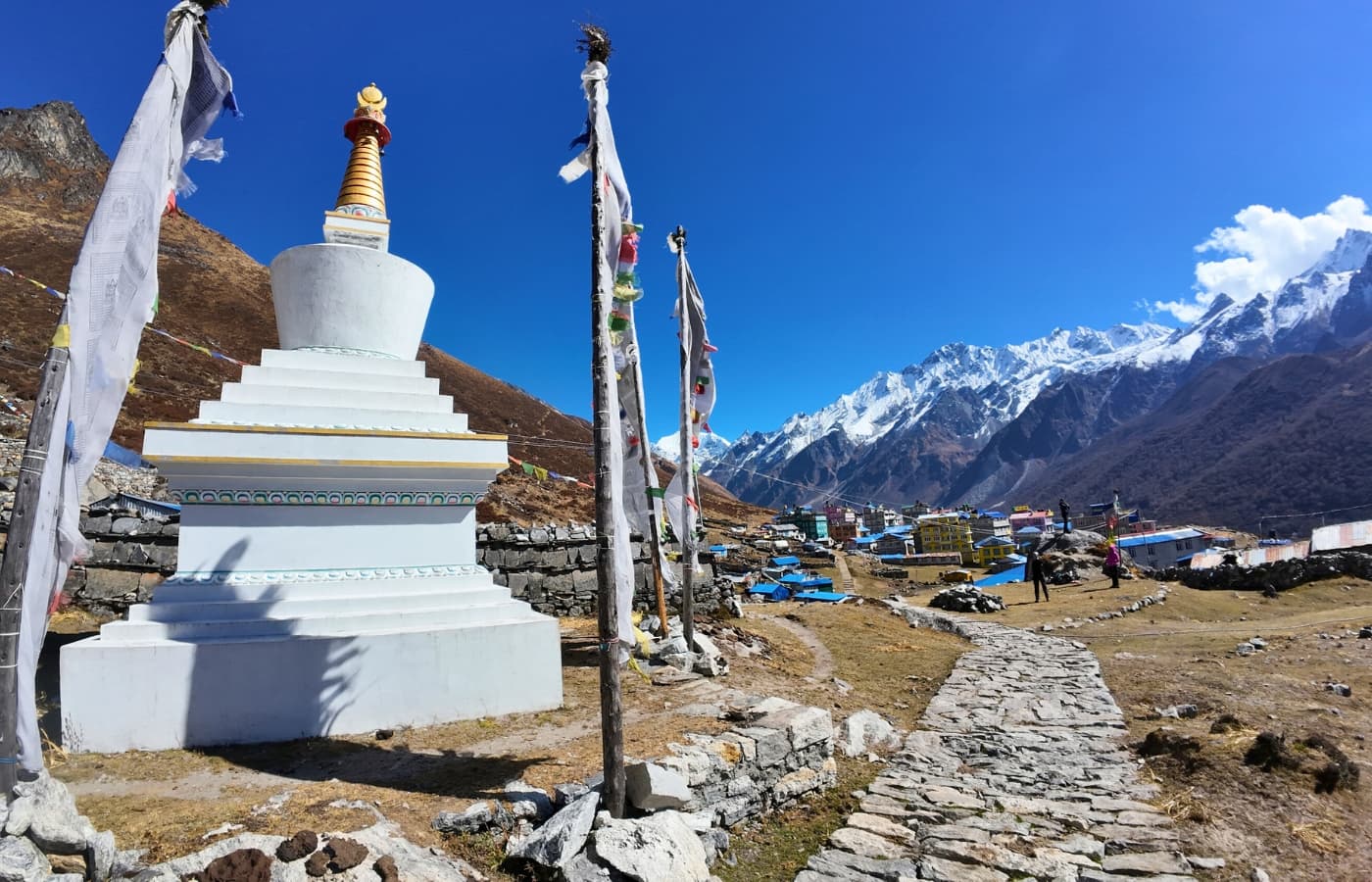 Kyanjin Gompa  Langtang National Park