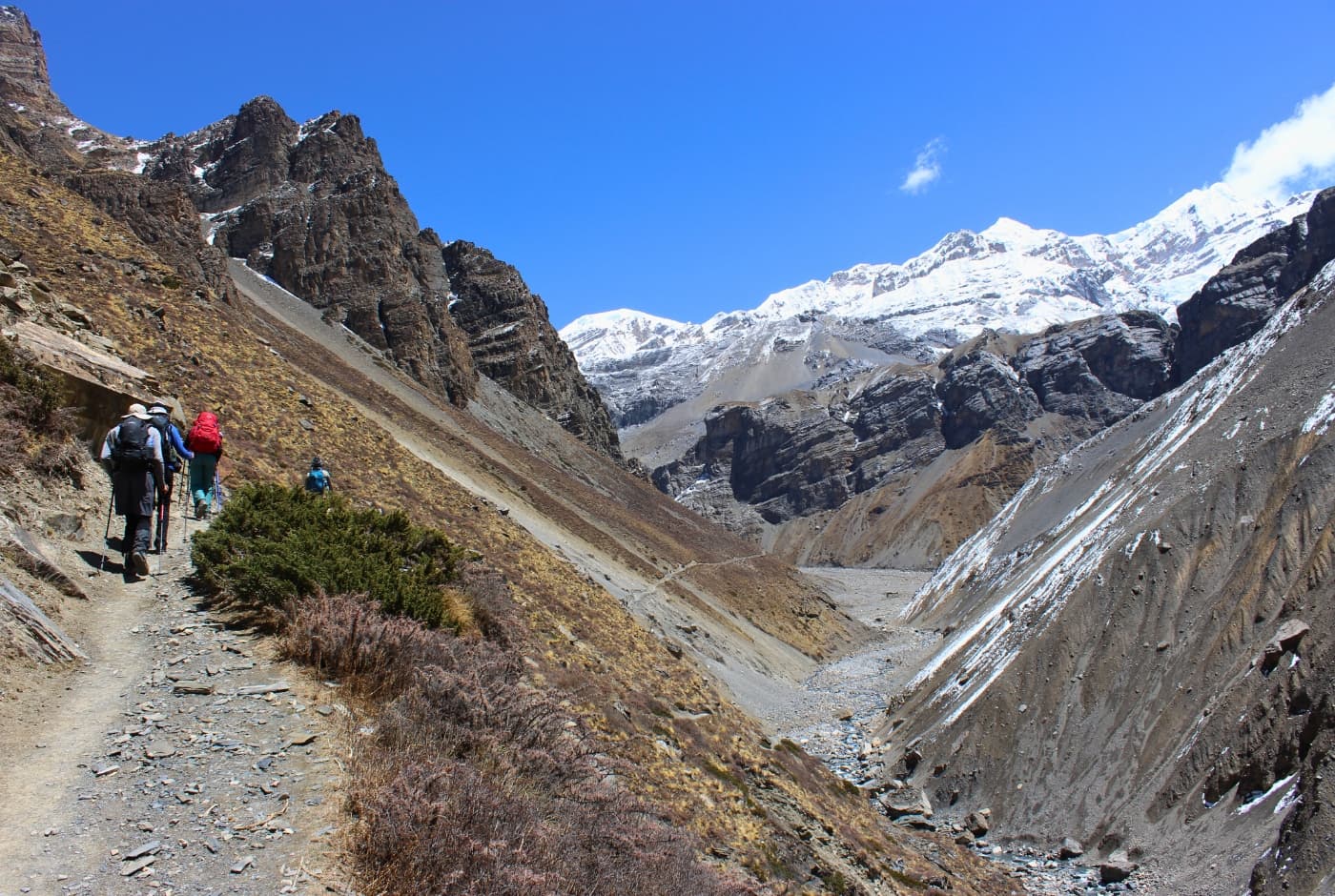 Annapurna CIrcuit 14 days trek in nepal best price