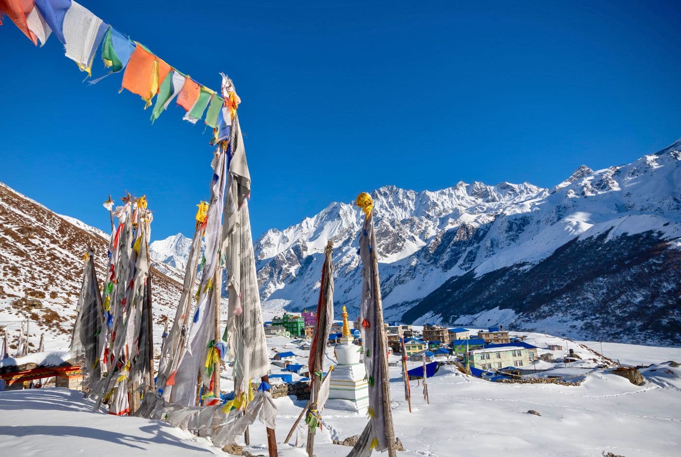 Cultural flags and beauty of Langtang Area: Langtang Village Trek