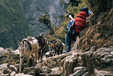 Trekking path with pack animals, porter in Monjo everest Trek