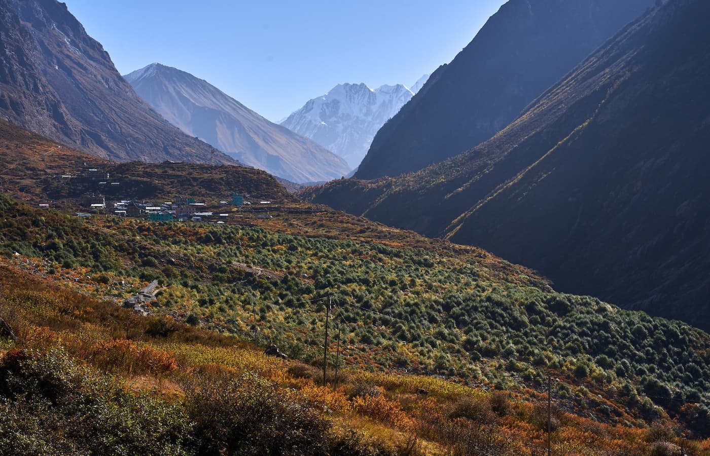 Beautiful Landscapes of Langtang Valley