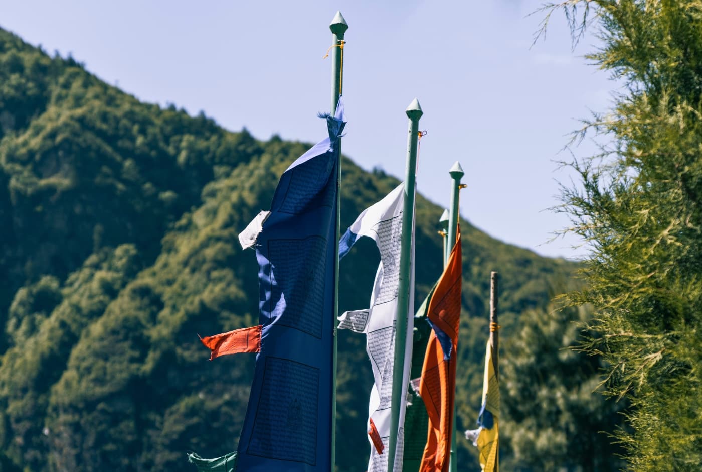 Different colors prayer flags   Monjo