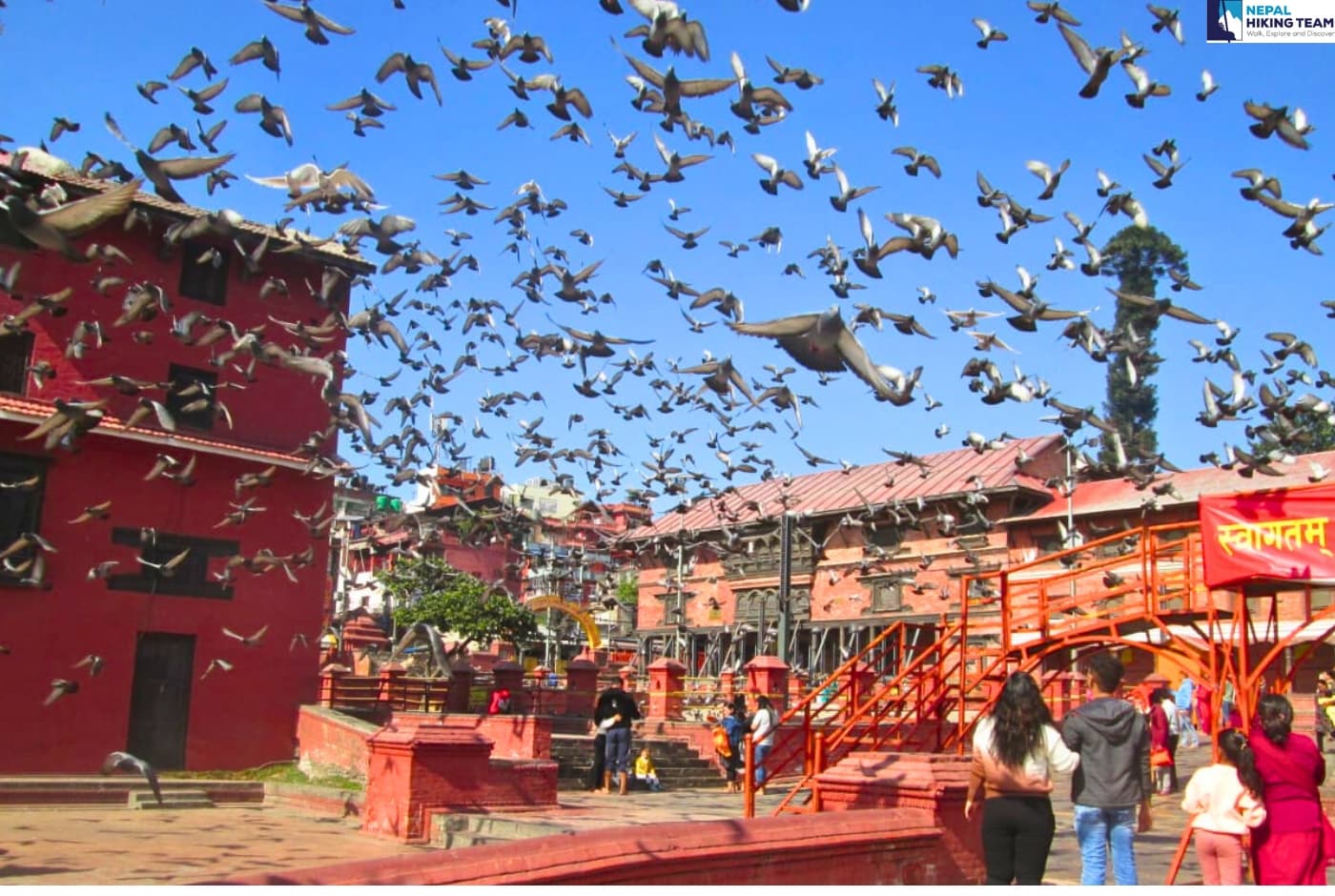 Birds flying in Pashupathinath a hindu temple in Kathmandu, Nepal