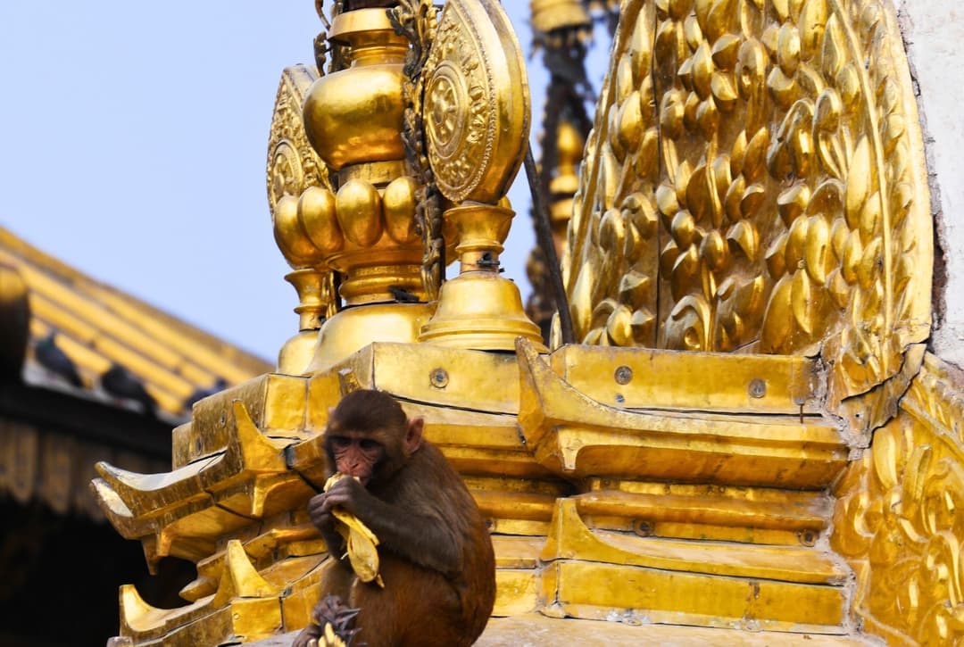 Monkey Temple Swambhu