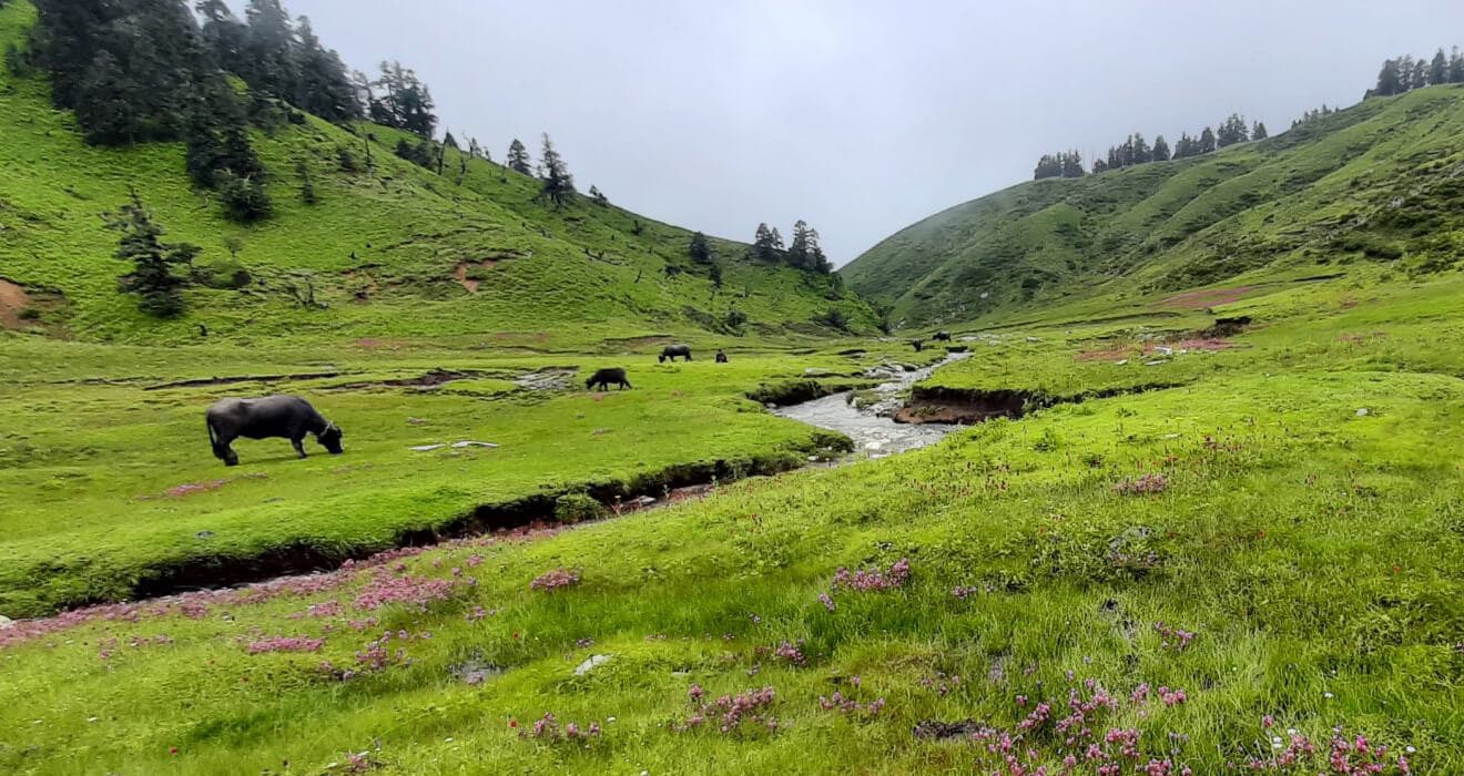 Major attractions of seven provinces of Nepal