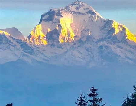 Best of Nepal Tour for 2024/25 with best cost