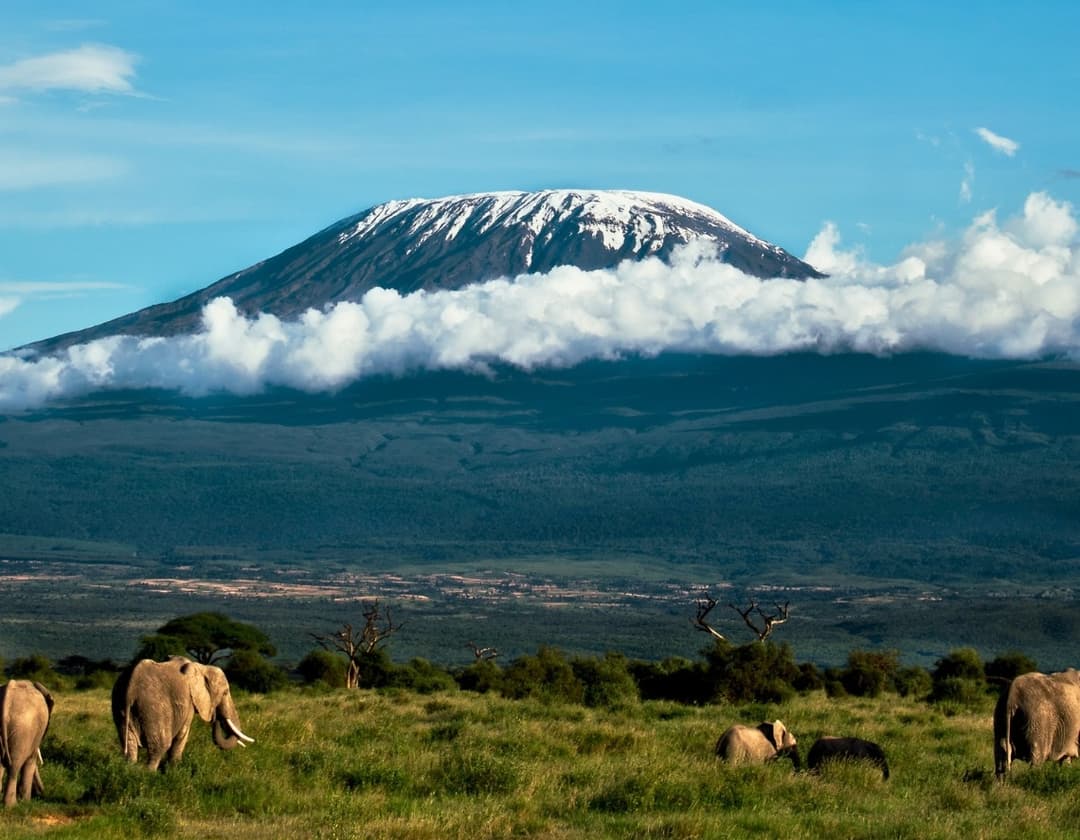 Mount Everest Vs Kilimanjaro