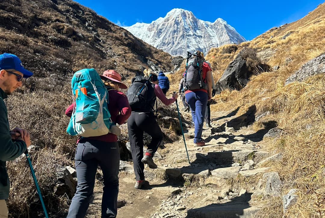 Trekkers Ascending Rocky Trail From Machhapuchhre Base Camp To Annapurna Base Camp With Snow Capped Peaks Ahead