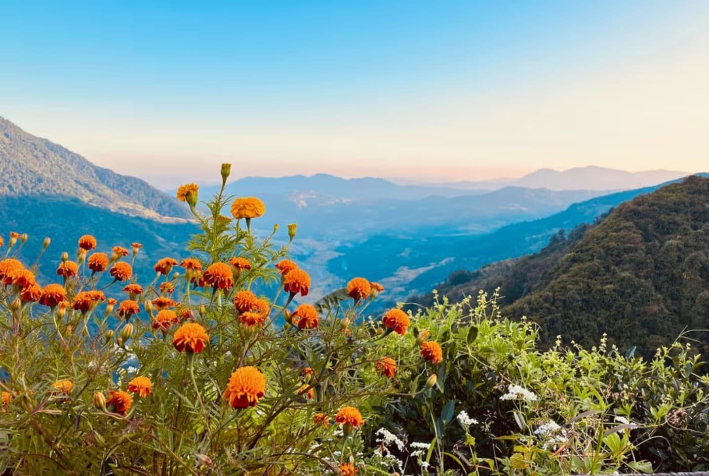 Photoshoot en route Forest Camp also called Kokar