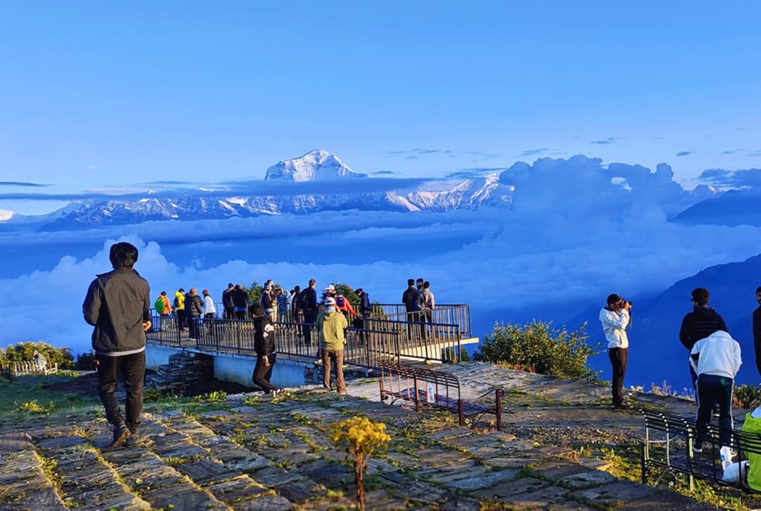 Hikers gathered at Poon Hill viewpoint at sunrise with Annapurna and Dhaulagiri ranges above the clouds