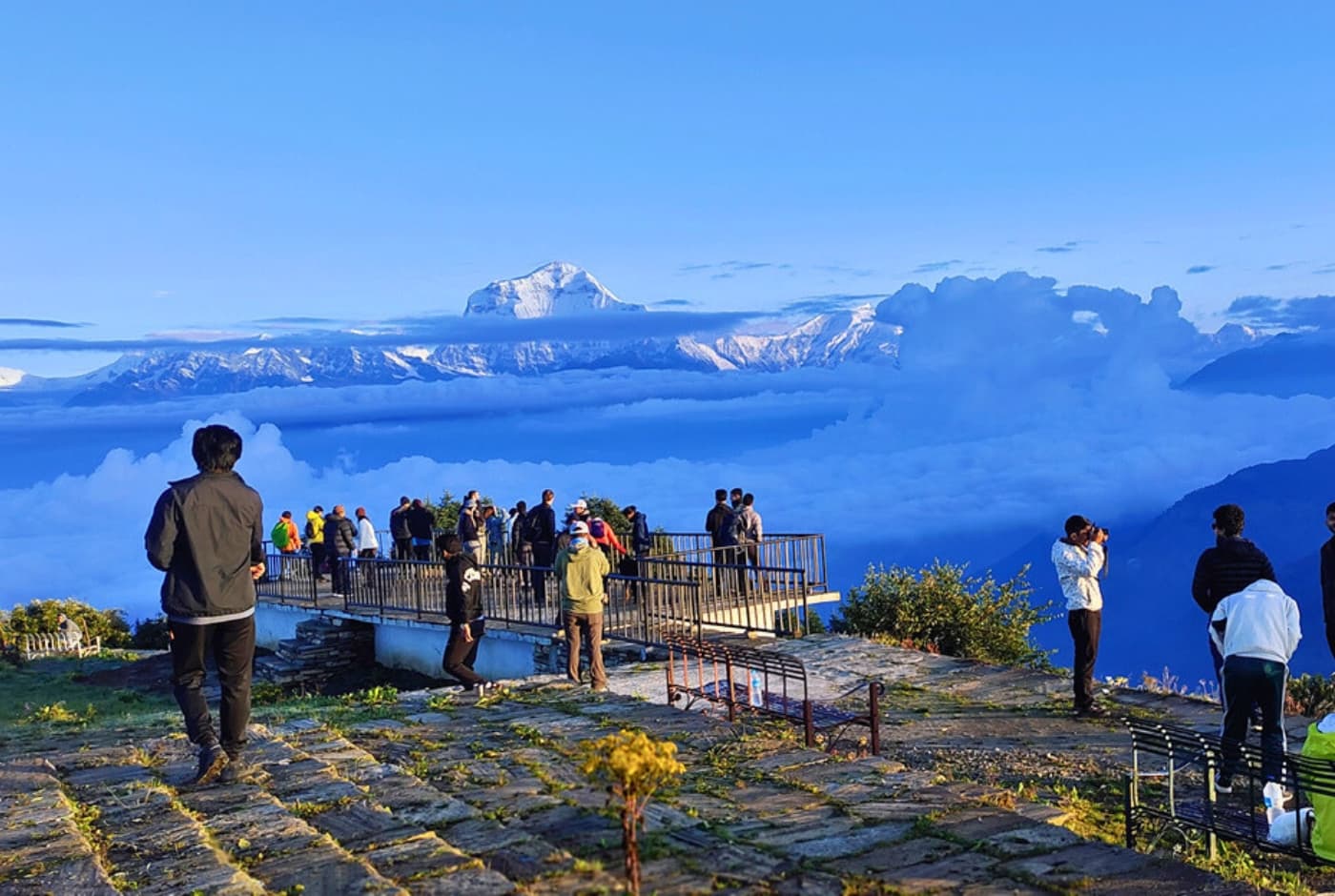 Hikers gathered at Poon Hill viewpoint at sunrise with Annapurna and Dhaulagiri ranges above the clouds