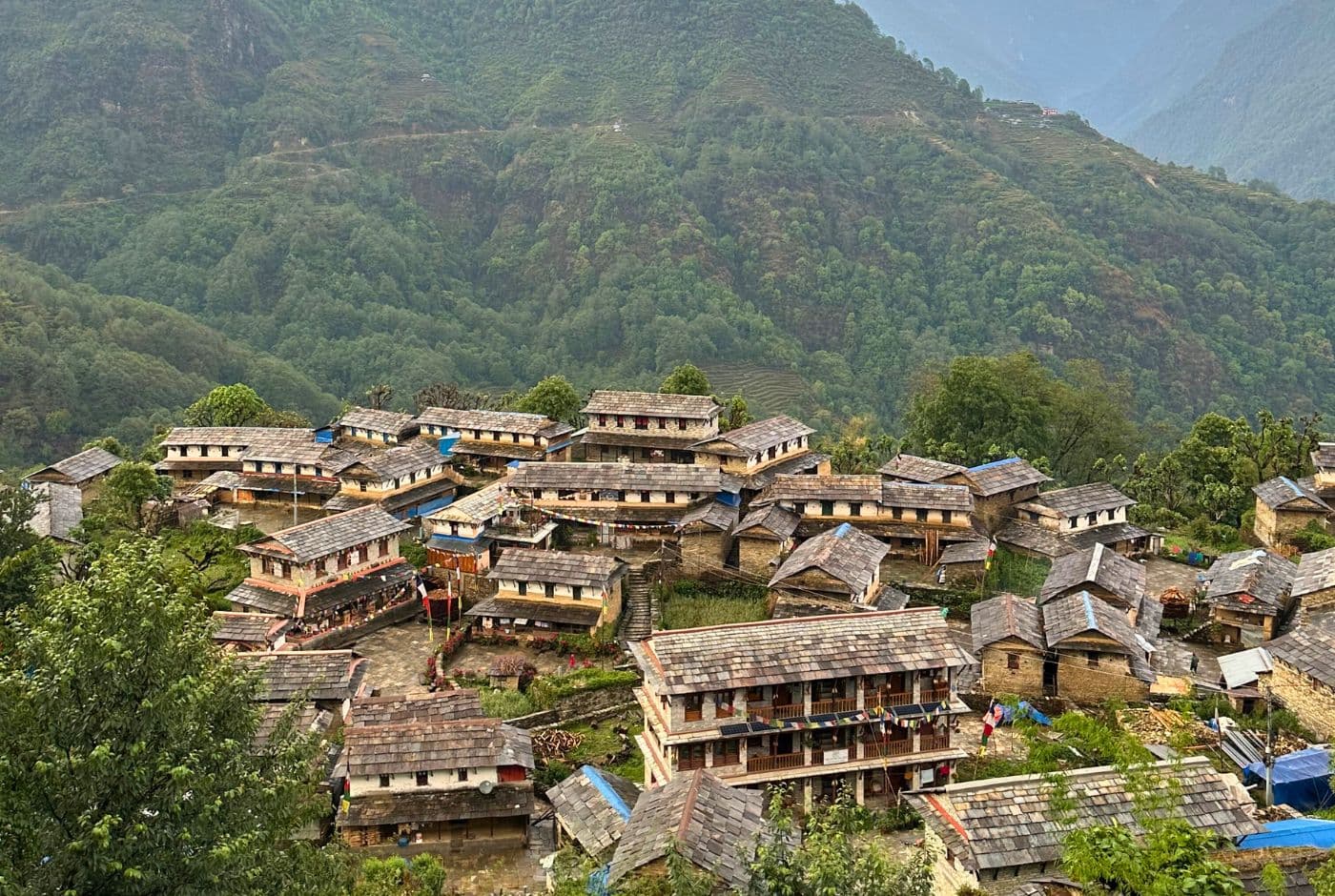 Traditional stone-roofed Ghandruk Village nestled on Annapurna hillside, Nepal