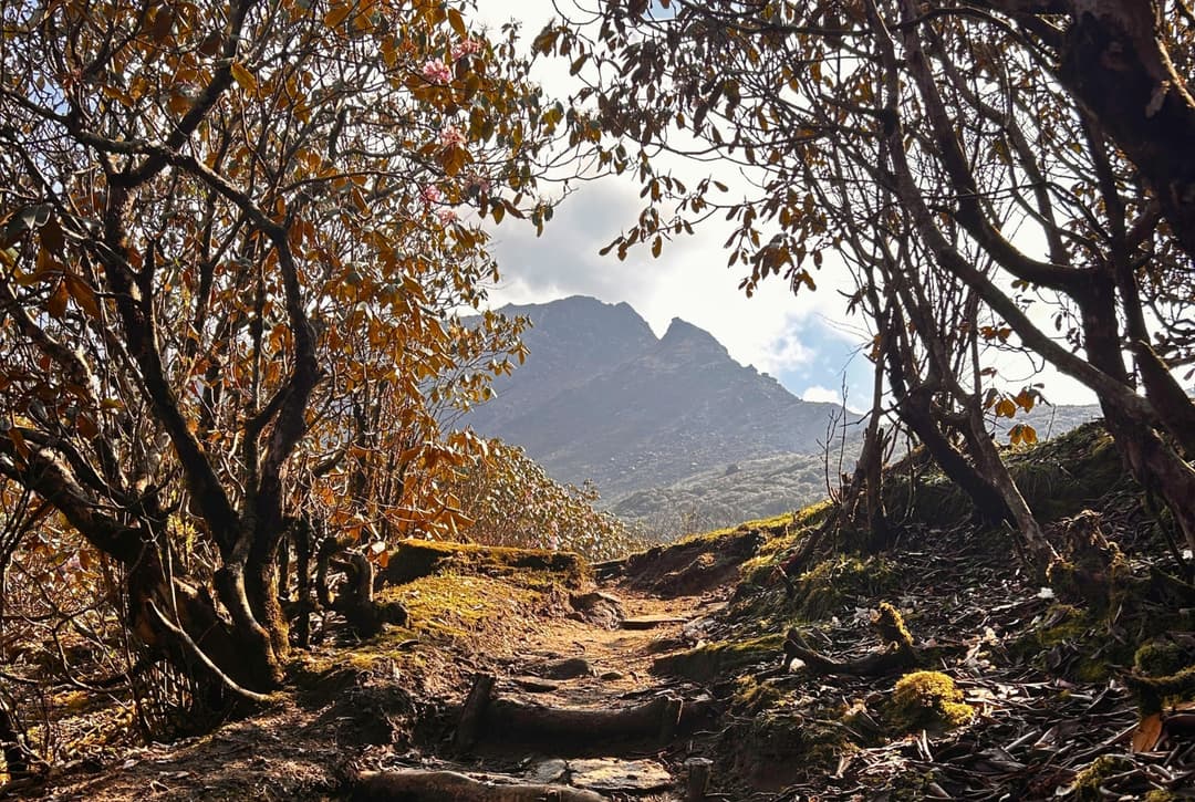 Way to ghorepani from swanta village
