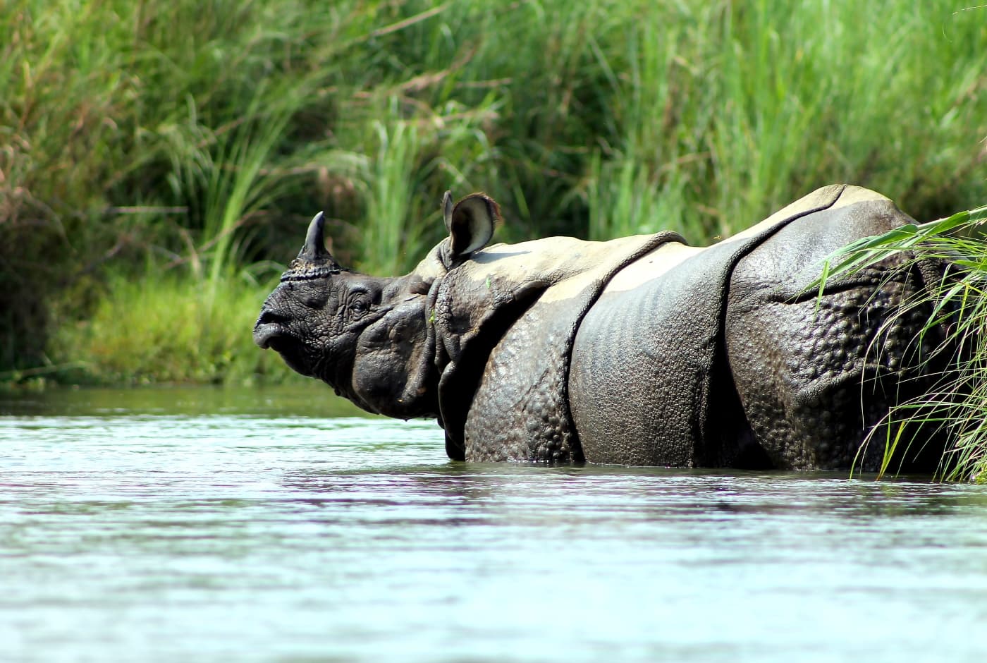 Chitwan National Park